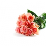 Que disent les fleurs ? 