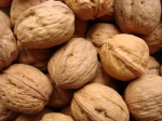 L'avenir par les aliments